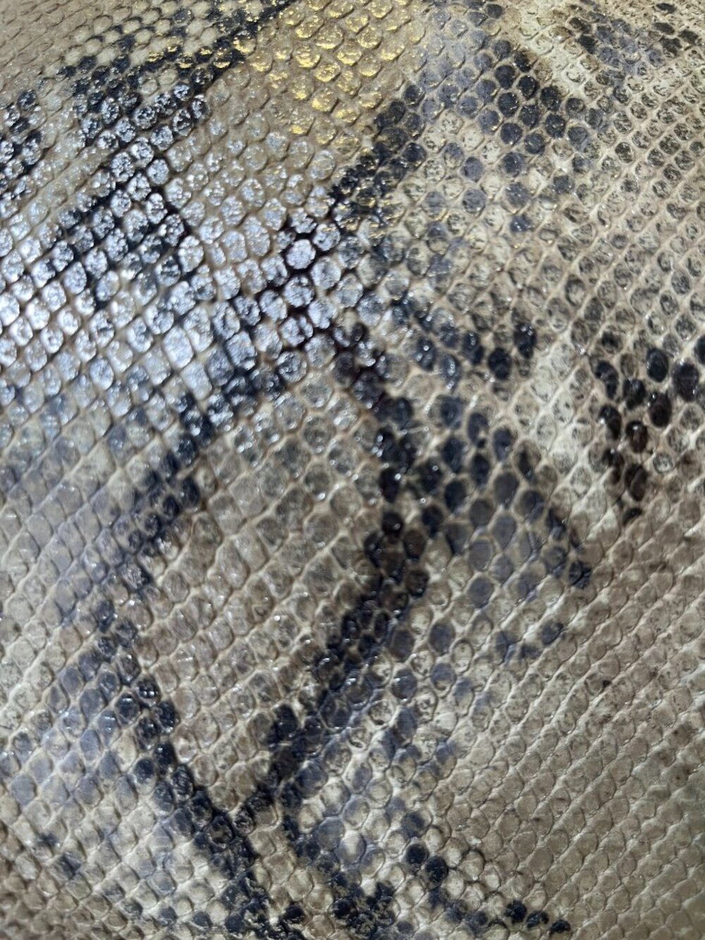 Coach Madison Lindsey Metallic Python Snakeskin Satchel Ivory + COA - Picture 5 of 16